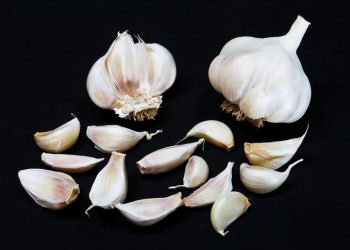 Reasons to Grow Your Own Garlic