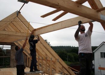 How-To Insulate Your Home: A Step-By-Step Guide