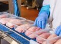 Discover The Best Frozen Chicken Parts For Export