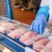 Discover The Best Frozen Chicken Parts For Export