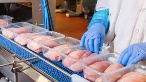 Discover The Best Frozen Chicken Parts For Export